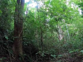 {{brizy_dc_image_alt imageSrc=