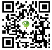 {{brizy_dc_image_alt imageSrc=