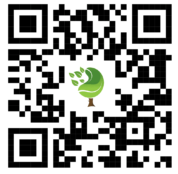 {{brizy_dc_image_alt imageSrc=