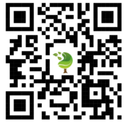 {{brizy_dc_image_alt imageSrc=