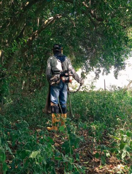 {{brizy_dc_image_alt imageSrc=