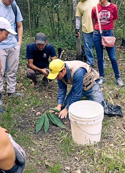 {{brizy_dc_image_alt imageSrc=