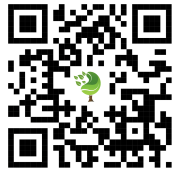 {{brizy_dc_image_alt imageSrc=