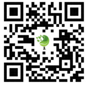 {{brizy_dc_image_alt imageSrc=