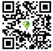 {{brizy_dc_image_alt imageSrc=