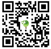 {{brizy_dc_image_alt imageSrc=