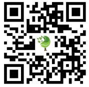 Qr de Cruz Verde Cesar