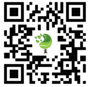 {{brizy_dc_image_alt imageSrc=