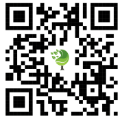 {{brizy_dc_image_alt imageSrc=