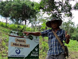 {{brizy_dc_image_alt imageSrc=