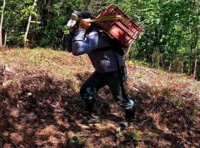 {{brizy_dc_image_alt imageSrc=