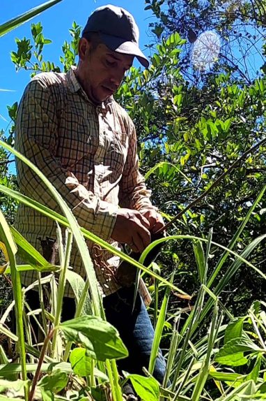 {{brizy_dc_image_alt imageSrc=